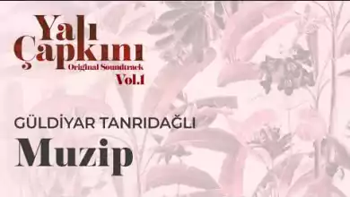 موسيقى المسلسل التركي طائر الرفراف yali capkini dizi muzikleri