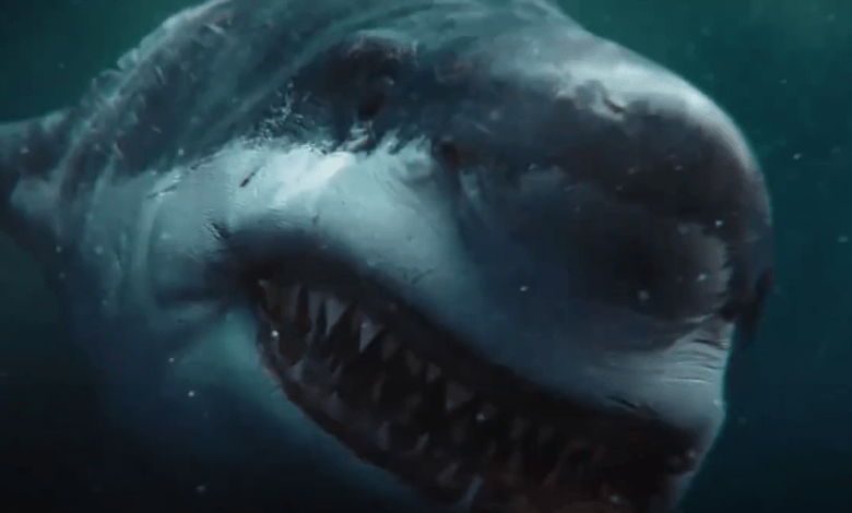 فيلم killer shark 2021 مترجم