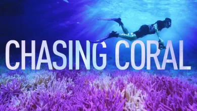 فيلم ملاحقة الشعاب المرجانية Chasing Coral 2017 مترجم اون لاين
