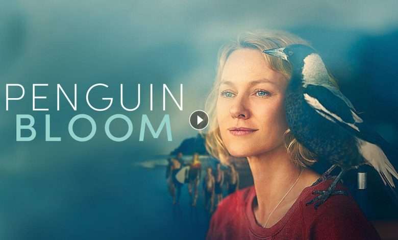 فيلم Penguin Bloom 2020 مترجم كامل بجودة HD