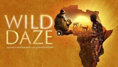 فيلم Wild Daze 2020 مترجم كامل بجودة HD