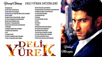 موسيقى المسلسل التركي قلب مجنون DELi YUREK dizi muzikler album