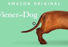 فيلم Wiener Dog 2016 مترجم كامل بجودة HD