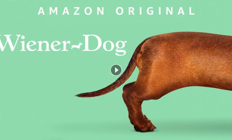 فيلم Wiener Dog 2016 مترجم كامل بجودة HD