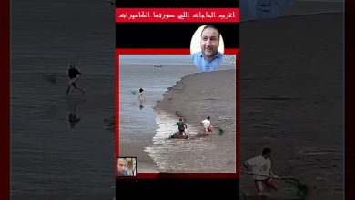 افلام عربي