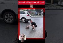 افلام عربية